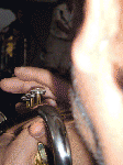 CANADA 2005 - 007.gif